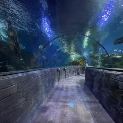Malta National Aquarium - Swieqi