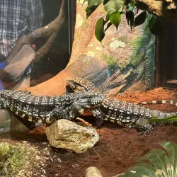 Malta National Aquarium - Swieqi
