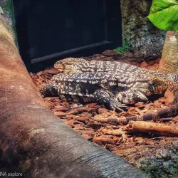 Malta National Aquarium - Swieqi