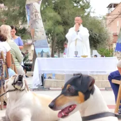 Tarxien Community Garden - Tarxien