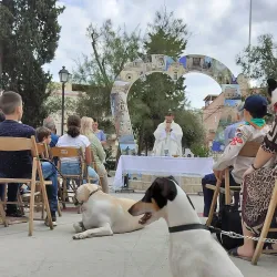 Tarxien Community Garden - Tarxien