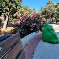 Tarxien Community Garden - Tarxien