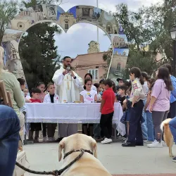 Tarxien Community Garden - Tarxien