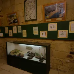 Gozo Nature Museum - Victoria/Rabat