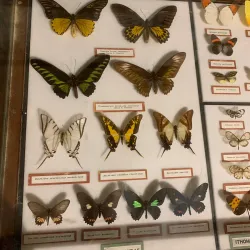 Gozo Nature Museum - Victoria/Rabat