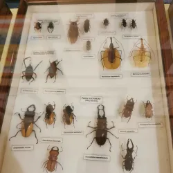 Gozo Nature Museum - Victoria/Rabat