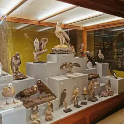 Gozo Nature Museum - Victoria/Rabat