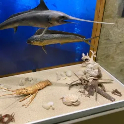 Gozo Nature Museum - Victoria/Rabat