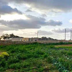 Zabbar Local Council Cultural Centre - Zabbar