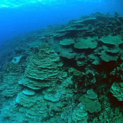 Diving and Snorkeling Sites - Majuro