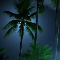 Diving and Snorkeling Sites - Majuro