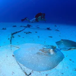 Diving and Snorkeling Sites - Majuro