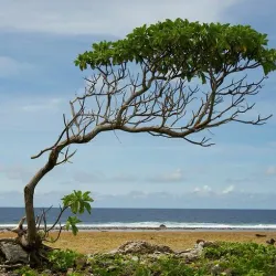 Jaluit Atoll (Day Trip) - Majuro