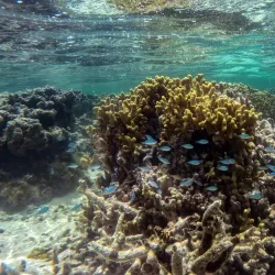 Laura Beach - Majuro