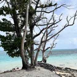 Laura Beach - Majuro