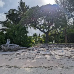 Laura Beach - Majuro