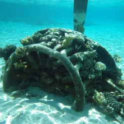 Laura Beach - Majuro