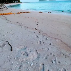 Majuro Atoll Lagoon - Majuro