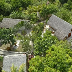 La Savane des Esclaves - Fort-de-france