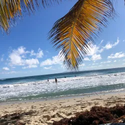 Anse Trabaud - Le Francois