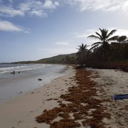 Anse Trabaud - Le Francois