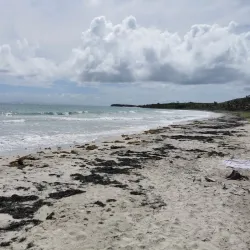 Anse Trabaud - Le Francois