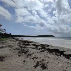 Anse Trabaud - Le Francois