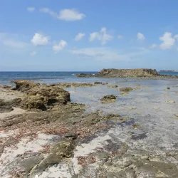 Anse Trabaud - Le Francois