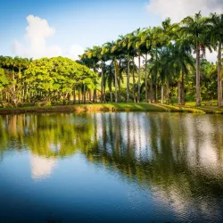 Habitation Clément - Le Francois