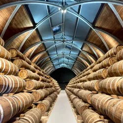 Habitation Clément - Le Francois