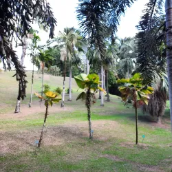 Habitation Clément - Le Francois