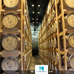 Habitation Clément - Le Francois