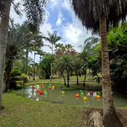 Habitation Clément - Le Francois