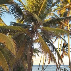 Le François Marina - Le Francois