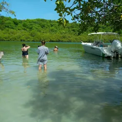 Le François Marina - Le Francois