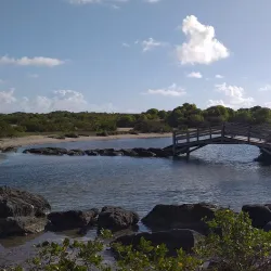 Le François Marina - Le Francois