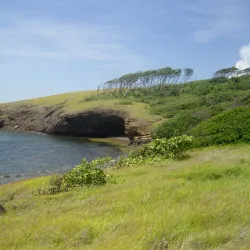 Îlets de la Batterie - Le Francois
