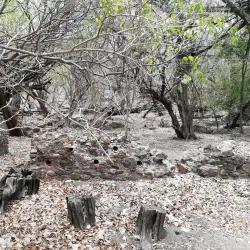 Îlets de la Batterie - Le Francois