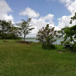 Mangrove Nature Reserve - Le Francois