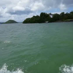 Mangrove Nature Reserve - Le Francois