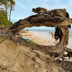 Plage des Raisins Clairs - Le Francois
