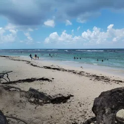 Plage des Raisins Clairs - Le Francois