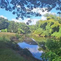 La Maison de la Canne - Le Lamentin