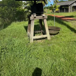La Maison de la Canne - Le Lamentin