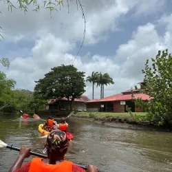 La Maison de la Canne - Le Lamentin