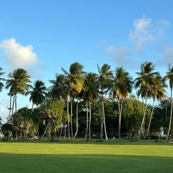 La Savane Park - Le Lamentin