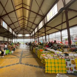 Le Marché de Lamentin - Le Lamentin