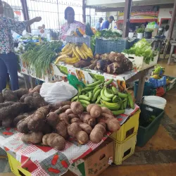 Le Marché de Lamentin - Le Lamentin