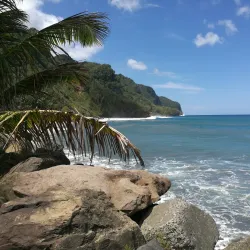 Le Parc Naturel Régional de la Martinique - Le Lamentin
