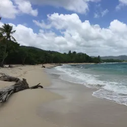 Le Parc Naturel Régional de la Martinique - Le Lamentin